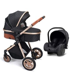 3-in-1-Baby-Stroller-Premium-Travel-System-8 (1)